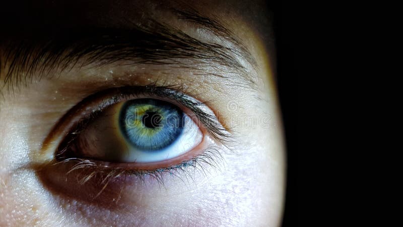 Beautiful closeup shot of a female human`s deep blue eyes stock image Beautiful closeup shot of a female human`s deep blue eyes stock image