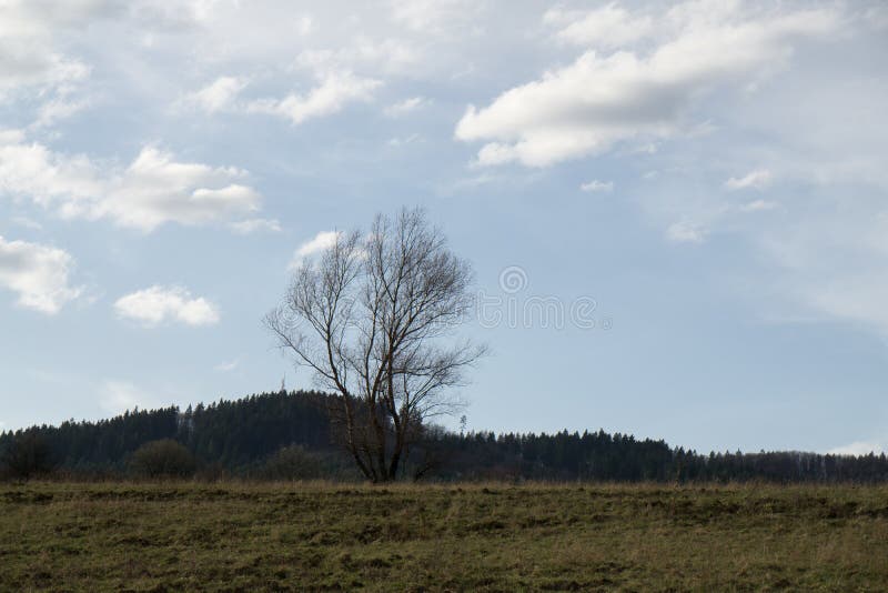 Beautiful clouds over the green meadow, paths and trees, during sunrise or sunset.