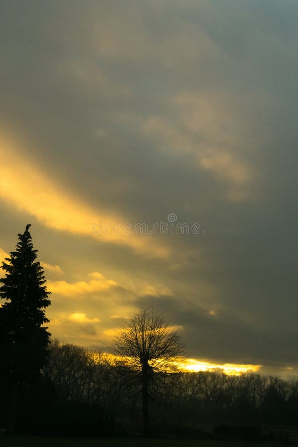 Beautiful clouds over the green meadow, paths and trees, during sunrise or sunset.