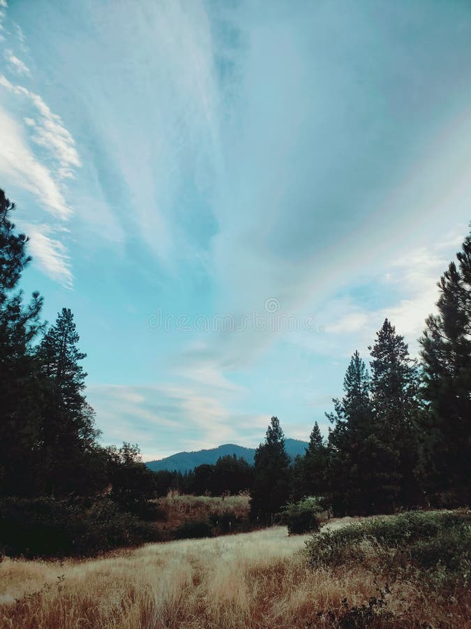 Beautiful Cloudy sky in scott valley royalty free stock images