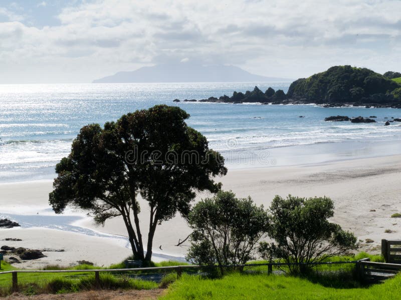 Beautiful coastal landscape, Tawharanui, NZ royalty free stock photography