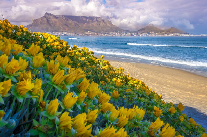 Coastline with Table Mountain and Cape Town city at sunrise, Cape Town, South Africa