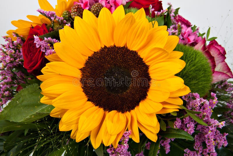 Beautiful Colorful Fresh Flowers Bouquet Isolated on White Background ...