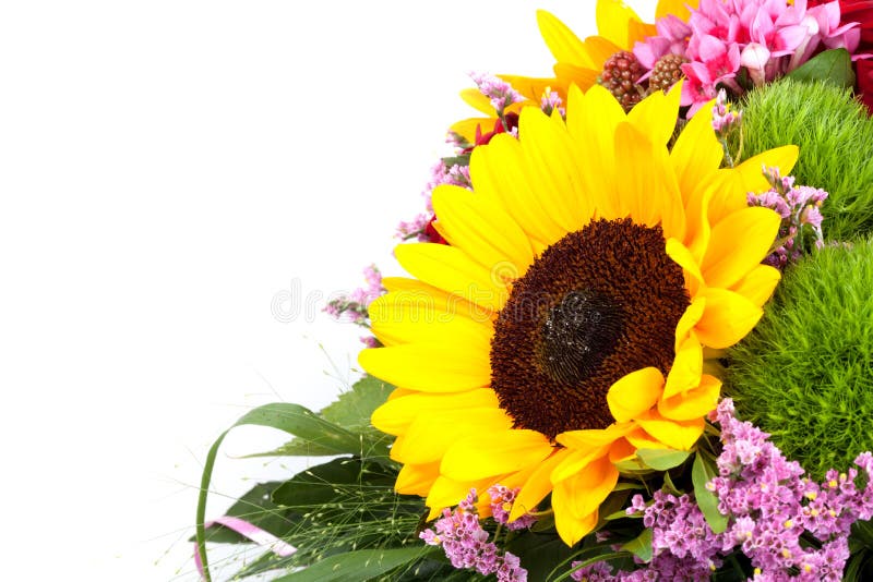 Beautiful Colorful Fresh Flowers Bouquet Isolated on White Background ...