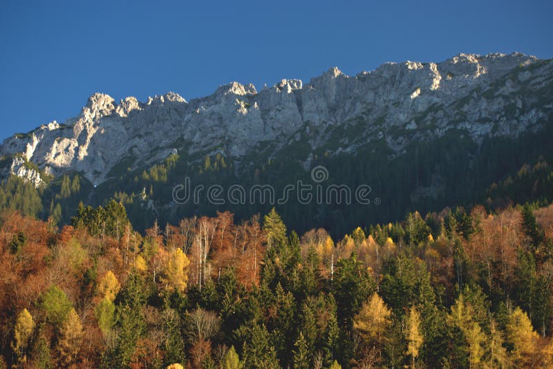 Colorful autumn mood in Planken in Liechtenstein 11.11.2020