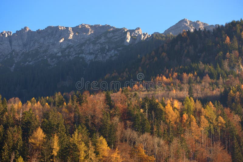 Colorful autumn mood in Planken in Liechtenstein 11.11.2020