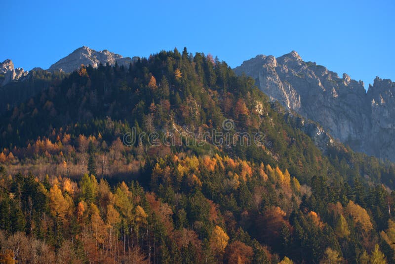 Colorful autumn mood in Planken in Liechtenstein 11.11.2020