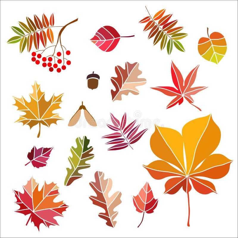 Beautiful colourful autumn leaves isolated royalty free illustration Beautiful colourful autumn leaves isolated royalty free illustration