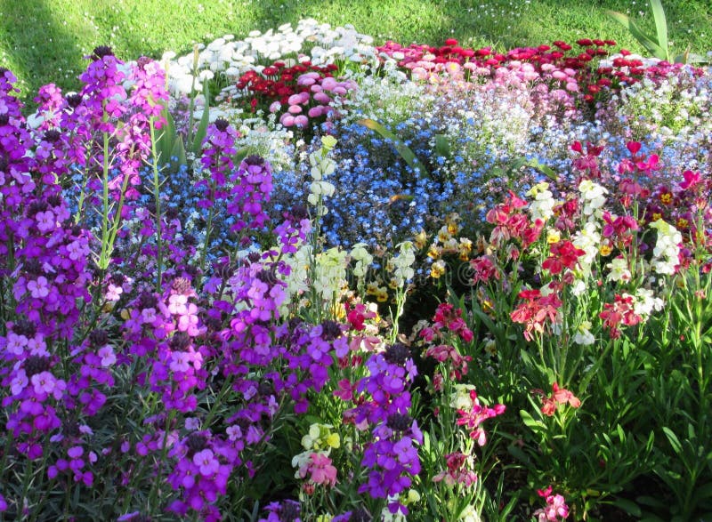 Beautiful Colourful Mixed Flower Bed at the Park Garden in Spring Stock