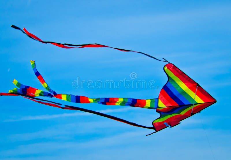 3m NEW HUGE Black SWAN KITE outdoor fun toys novelty kite Single line Bird kite 