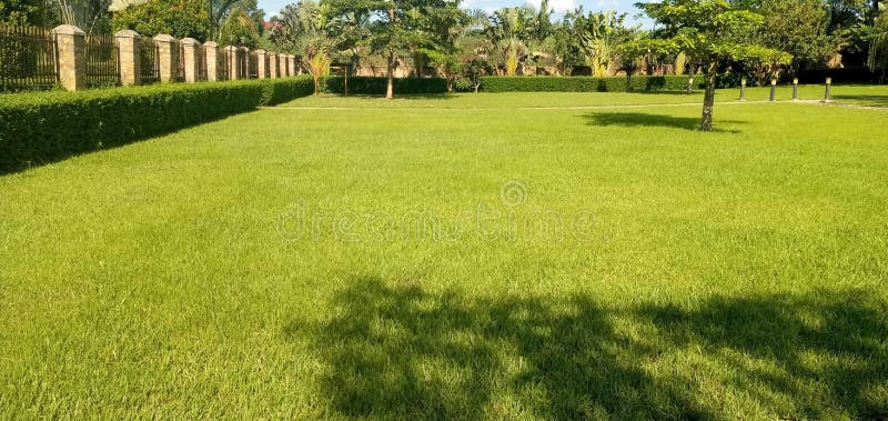 Beautiful Compound in Uganda Stock Image - Image of garden, flower ...