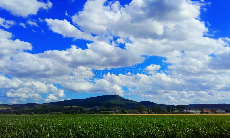 Beautiful corn field stock photo Beautiful corn field stock photo