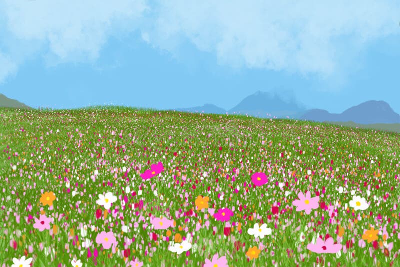 Beautiful Cosmos Flower In Field With Blue Sky Stock Illustration