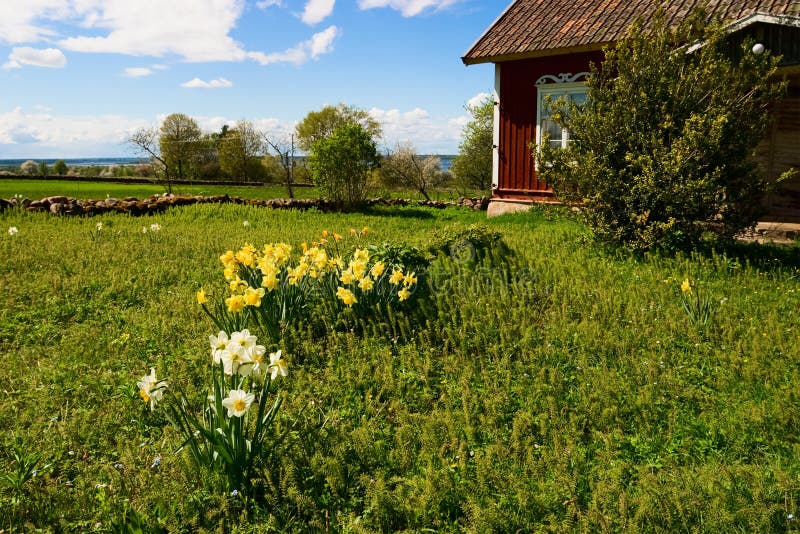 Beautiful country garden royalty free stock photography Beautiful country garden royalty free stock photography