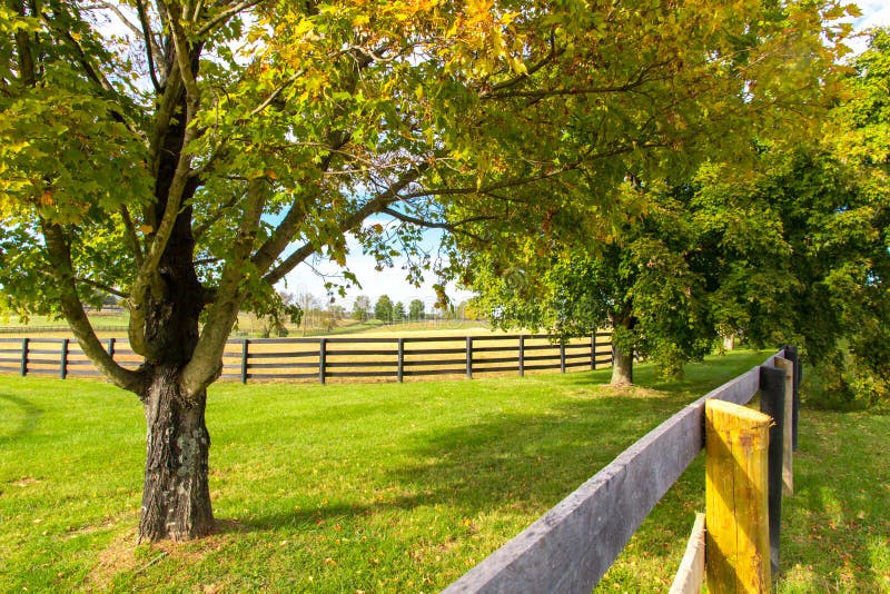 Beautiful Country Landscape with Colorful Tree and Pastures of Horse ...