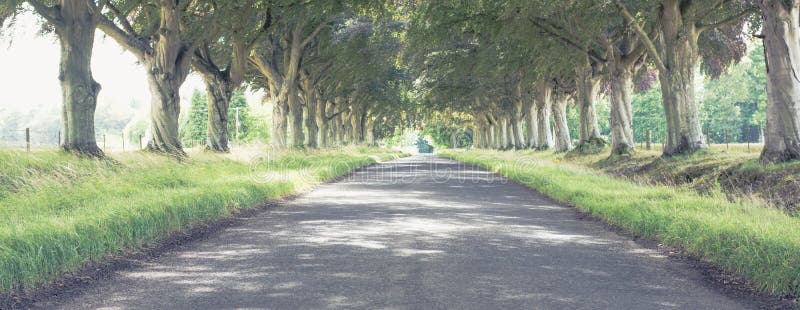 Beautiful Countryside Road in Scotland Stock Photo - Image of sunny ...