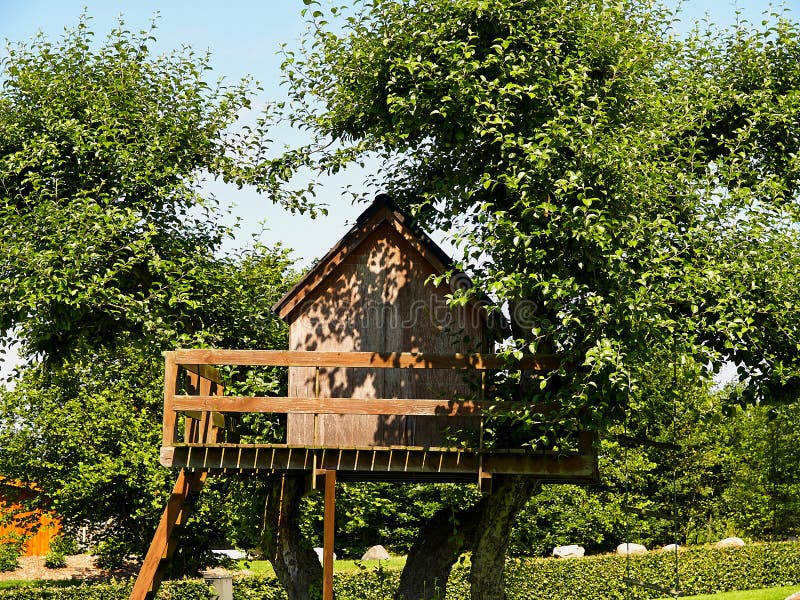 Beautiful creative tree house