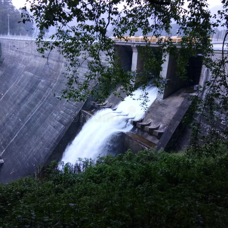 Beautiful Dam Image with Overflow of Water Including Tree Stock Image