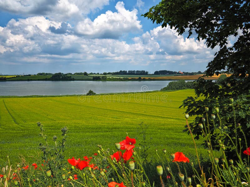 Beautiful Danish Countryside Landscape Over Rolling Hills with Green Fields