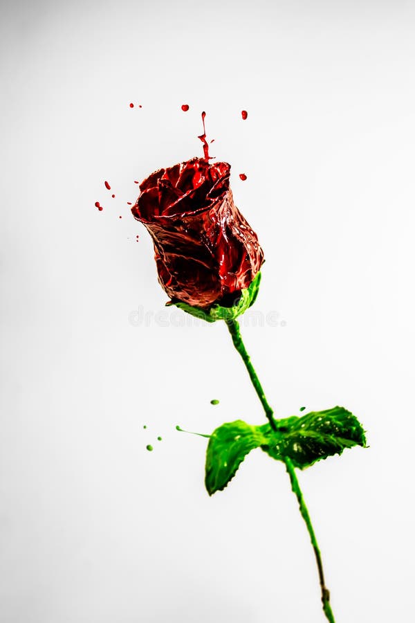 Beautiful dark red rose made of paint royalty free illustration