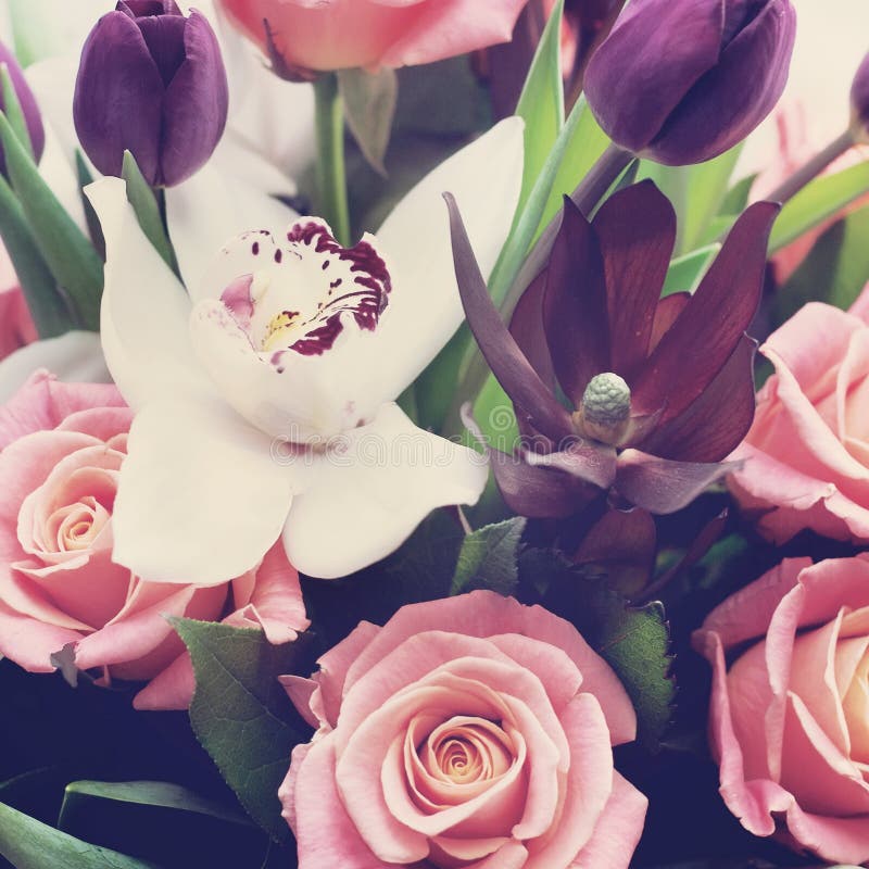 Delicate bouquet of roses stock image. Image of nature 141230503