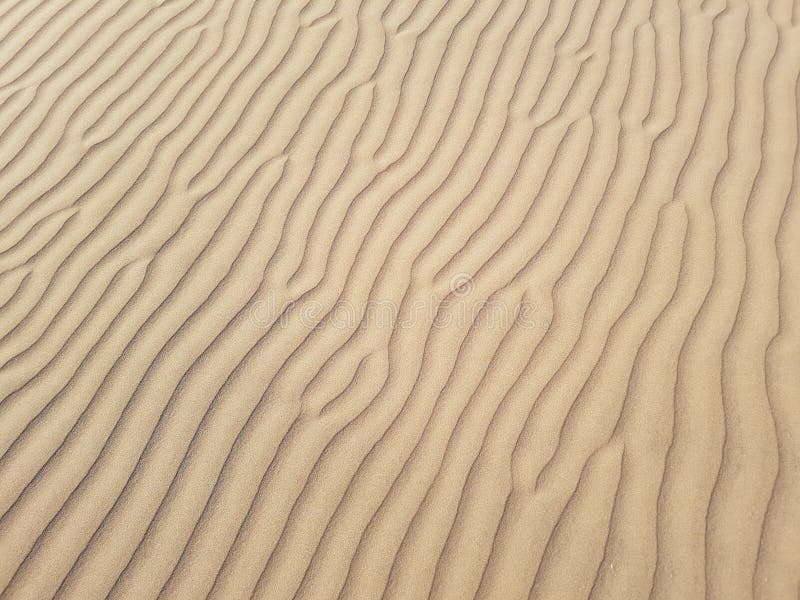 Beautiful desert sand background with wind ripples lines or waves effects