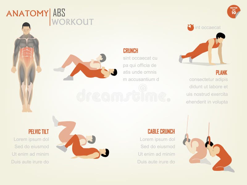 Abdominal Crunch Stock Illustrations – 346 Abdominal Crunch Stock ...