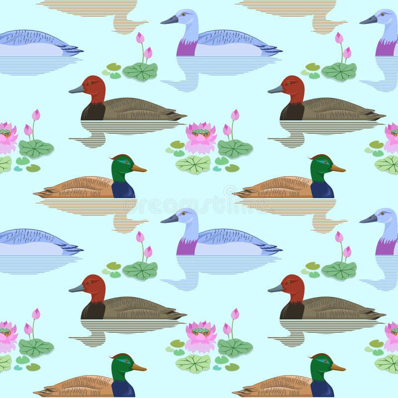 Beautiful duck swimming in pond. royalty free illustration Beautiful duck swimming in pond. royalty free illustration