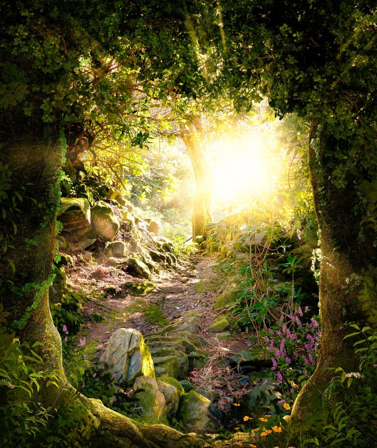 Beautiful enchanting forest opening path leading to a bright light vector illustration