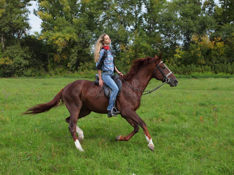 Beautiful equestrian country girl riding horse in the autumn forest