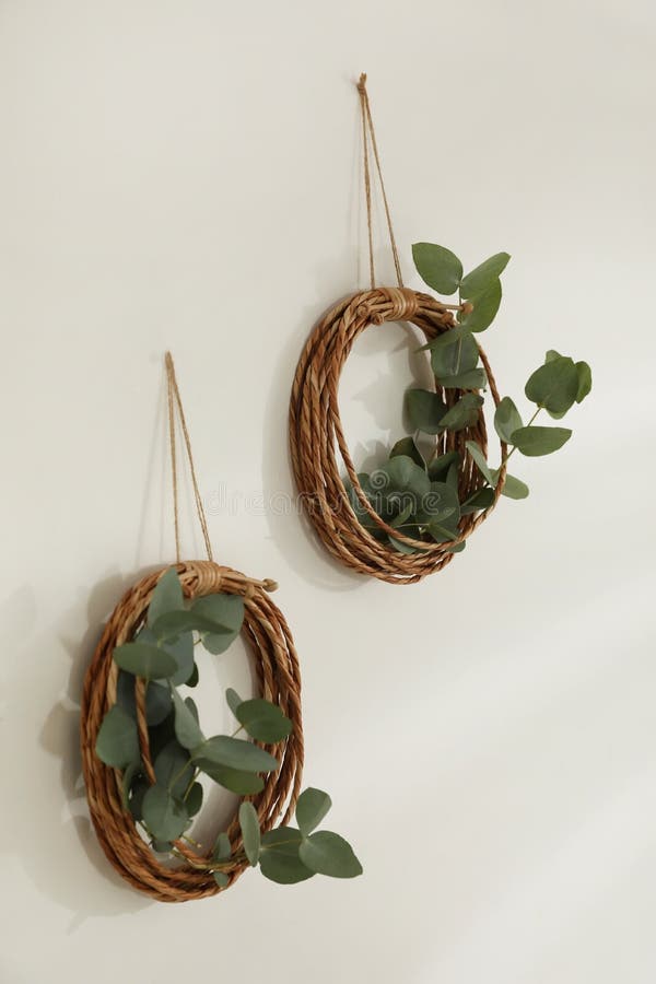 Beautiful Eucalyptus Decor on White Wall in Room. Interior Element
