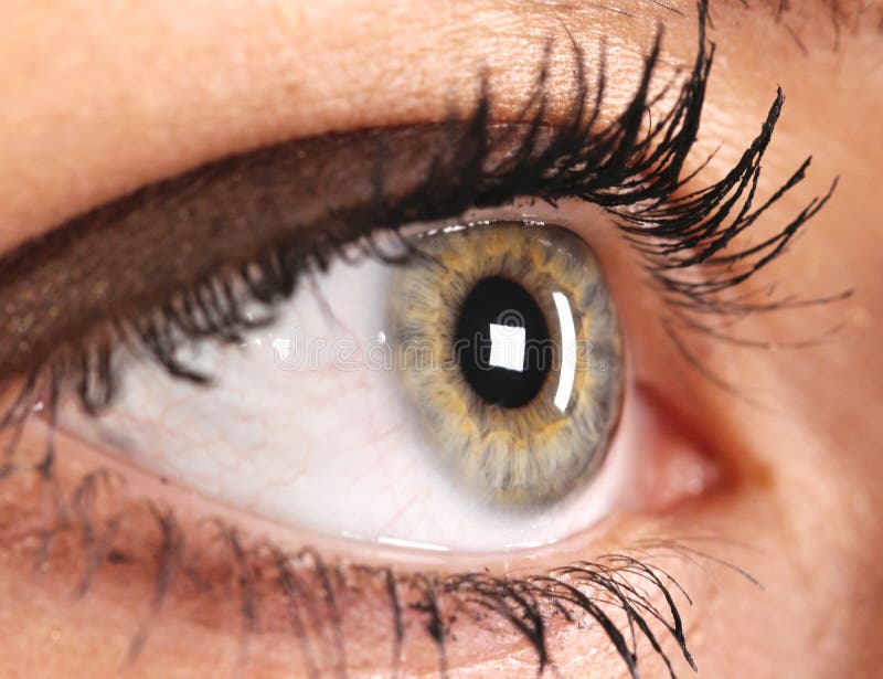 Beautiful Eye royalty free stock photo