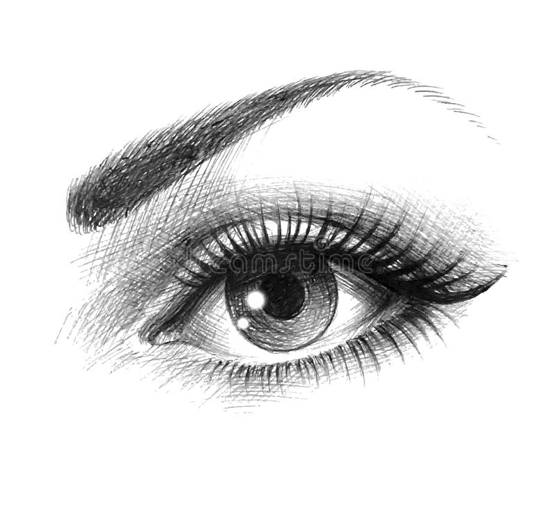 Two Beautiful Female Eyes Sketch Stock Illustration - Download Image Now -  Beauty, Doodle, Eye - iStock