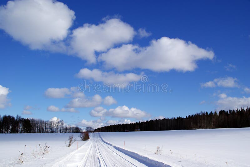 Beautiful Fair Weather Sky