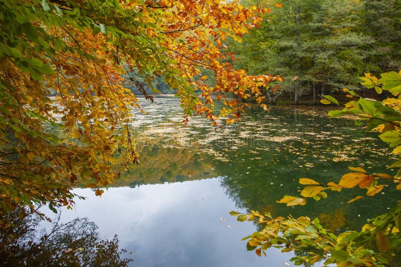 Fall trees and lake stock image. Image of mountain, light - 15525827