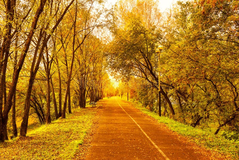 Beautiful fall landscape with narrow alley road