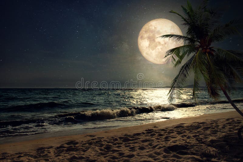 Beautiful fantasy tropical beach with Milky Way star in night skies, full moon - Retro style artwork with vintage color tone Elements of this moon image furnished by NASA