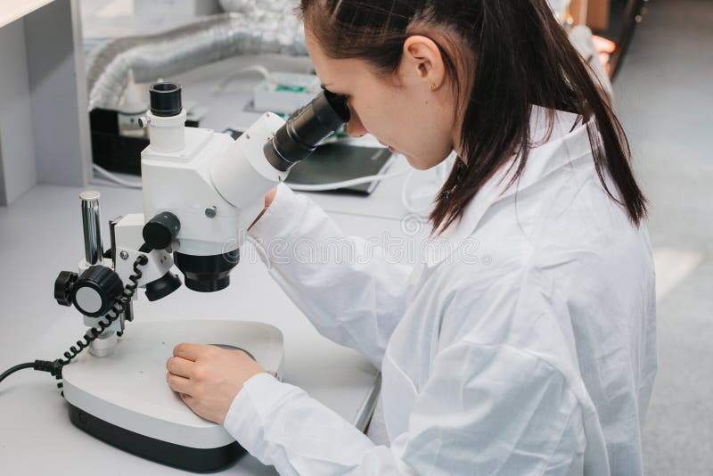 Beautiful female computer expert professional technician examining board computer in a laboratory in a factory stock image