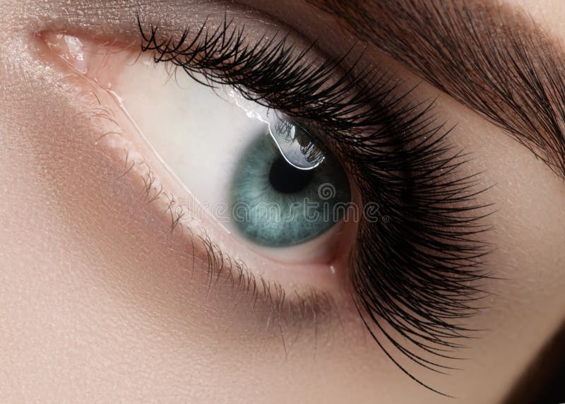 Beautiful female eye with extreme long eyelashes, black liner makeup. Perfect make-up, long lashes. Closeup fashion eyes