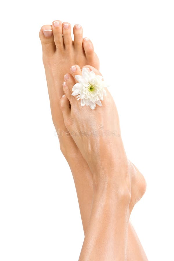Beautiful Feet with Perfect French Spa Pedicure Stock Image Image of