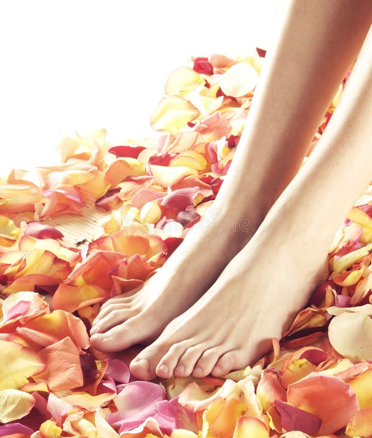 Beautiful female feet with flower petals