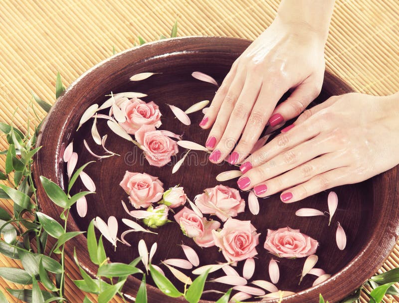 Beautiful female hands with flowers and petals