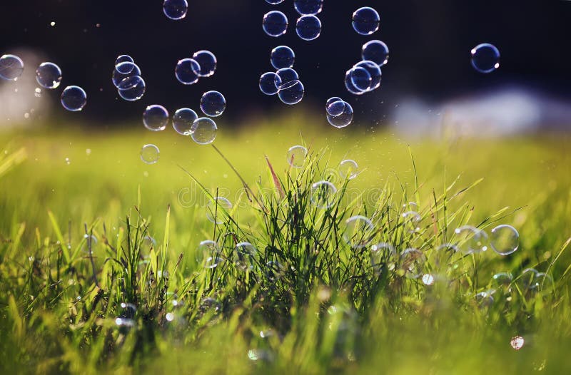 Beautiful festive colorful, soap bubbles and circles fly and shimmer over the green shiny grass in the summer fairy meadow stock images Beautiful festive colorful, soap bubbles and circles fly and shimmer over the green shiny grass in the summer fairy meadow stock images
