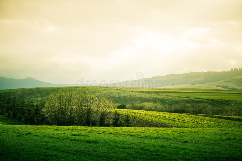 A beautiful field scenery of Slovakia.