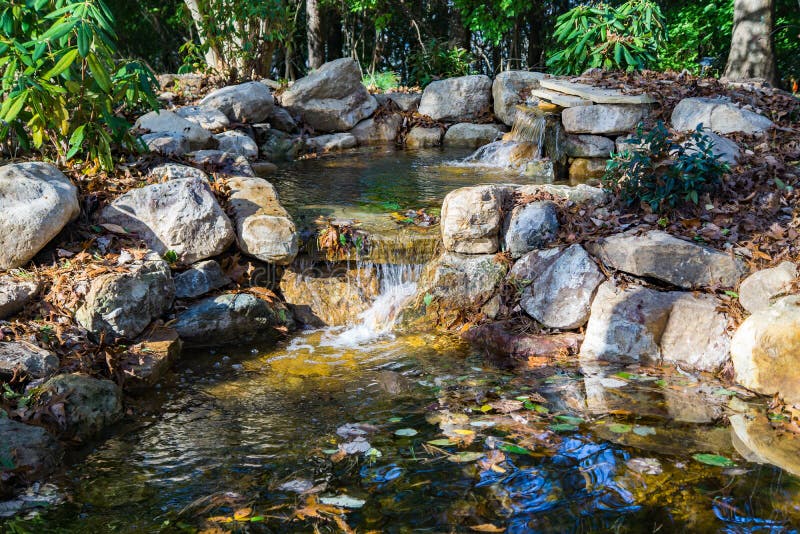 Beautiful Fish Pond at a Wildflower Garden on Top of Mill Mountain