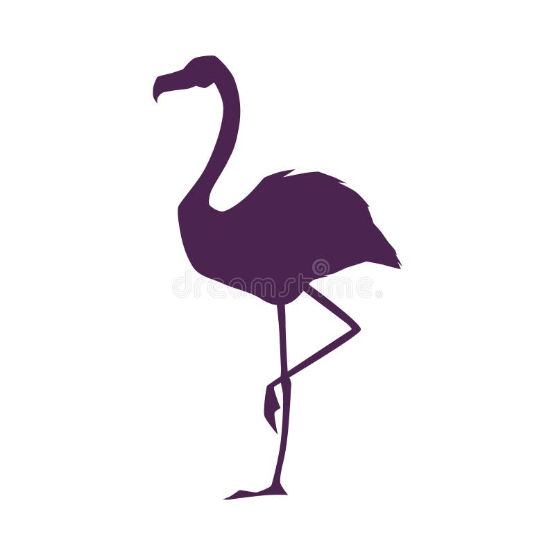 Beautiful flamingo black silhouette, vector exotic flamingo bird with long legs and neck, tropical wild animal outline vector illustration