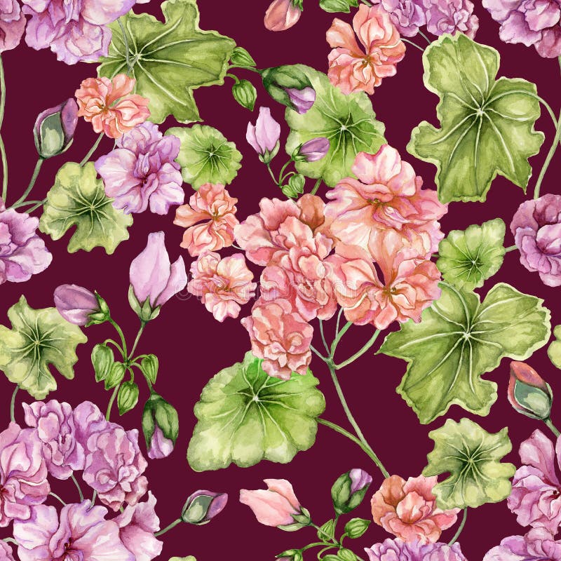 Beautiful floral background with pelargonium flowers and leaves. Seamless botanical pattern. Watercolor painting. Hand painted stock illustration Beautiful floral background with pelargonium flowers and leaves. Seamless botanical pattern. Watercolor painting. Hand painted stock illustration