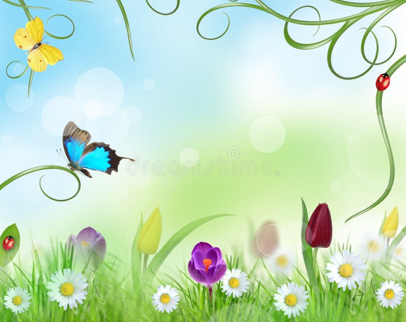 Beautiful floral design vector illustration