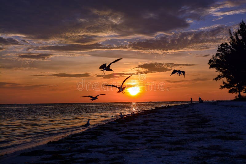 Beautiful Florida sunset on the beach