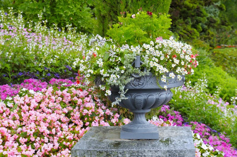 Lush Flower Beds in the Summer Garden. Stock Image Image of botanical, blooming 106713609